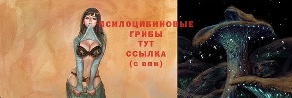 бутират Бородино