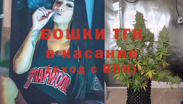 бошки Бронницы