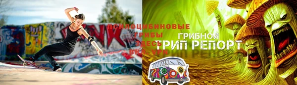 бошки Бронницы