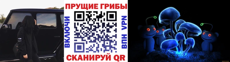 МЕГА ссылки цена Югорск Псилоцибиновые грибы MAGIC MUSHROOMS